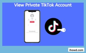 How To See TikTok Private Videos?