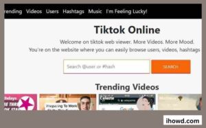 How to Use Urlebird to View TikTok Online